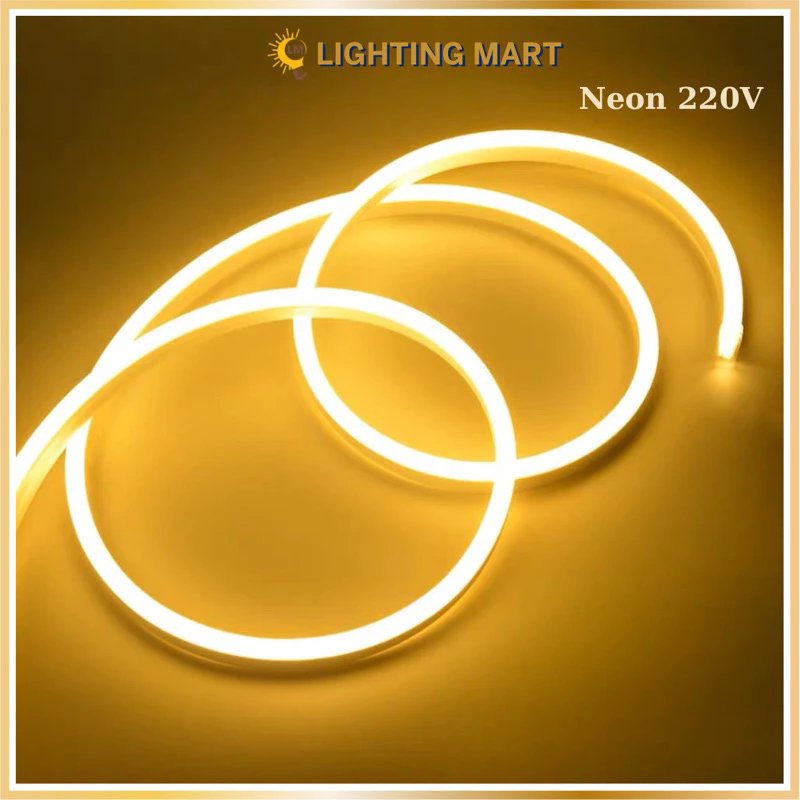 Combo 5M 10M Dây Led neon 220V + Tặng 1 nguồn, dây led trang trí chống nước, trang trí bảng hiệu,quấn cây noel lễ tết
